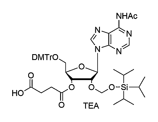 5'-O-DMTr-2'-O-TOM-A(Ac) succinate