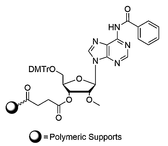 5'-O-DMTr-2'-O-Me-A-3'-O-Succinate-Polymeric Supports