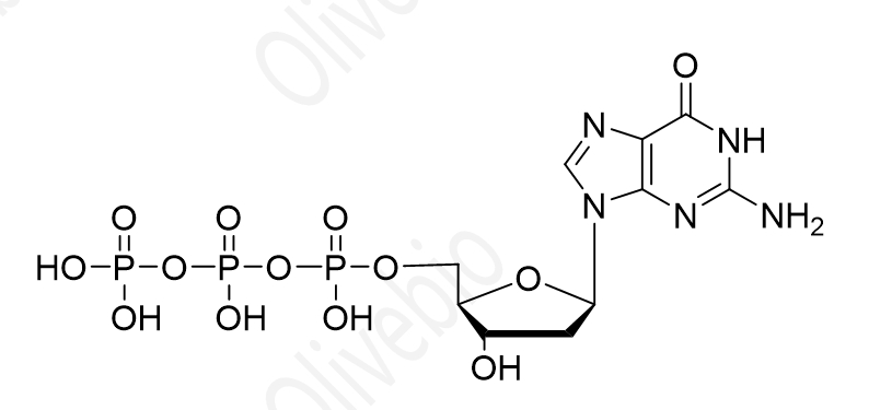 2'-脱氧鸟苷-5'-三磷酸 （dGTP）