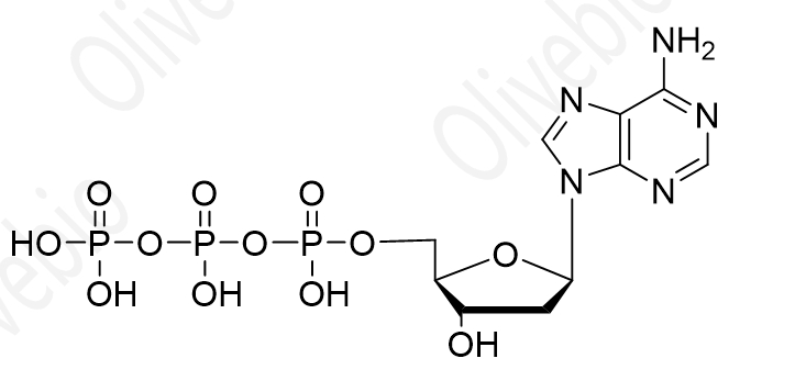 2'-脱氧腺苷-5'-三磷酸三钠盐 （dATP）