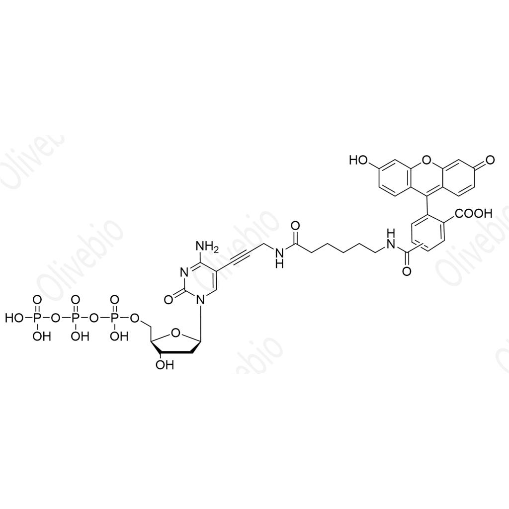 FAM-12-dCTP