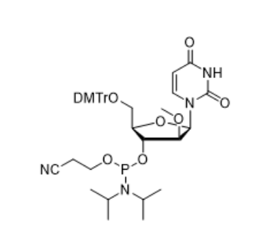 2'-OMe-U-ANA-CE-Phosphoramidite