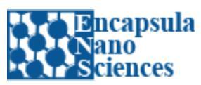 Encapsula NanoSciences.jpg