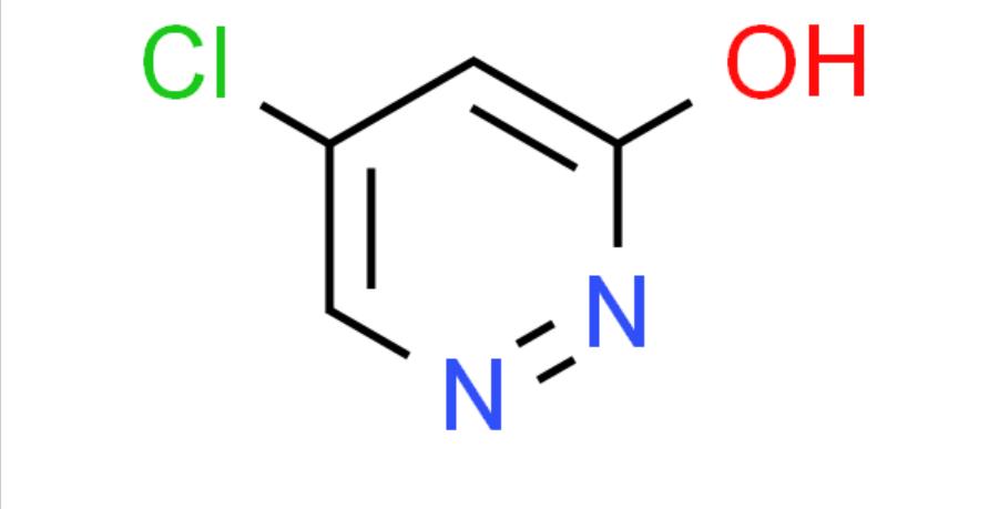 5-碘哒嗪-3(2H)-酮