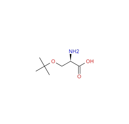 O-叔丁基-D-丝氨酸