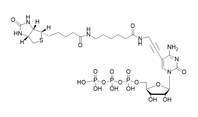 Biotin-11-CTP