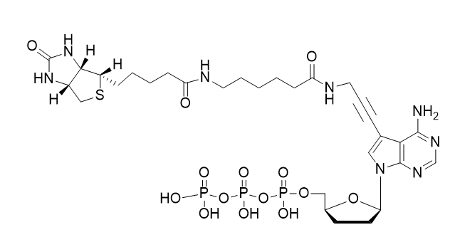 Biotin-11-ddATP