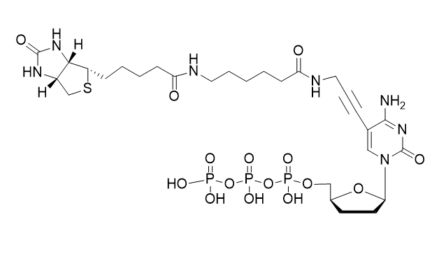 Biotin-11-ddCTP