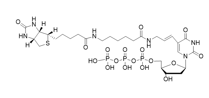 Biotin-11-dUTP