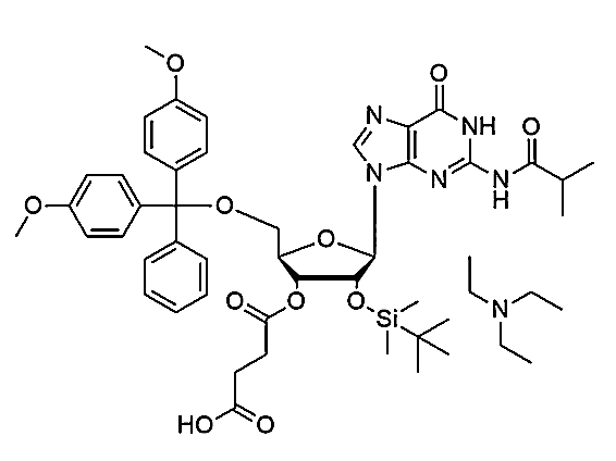 N2-iBu-DMT-2'-O-TBDMS-Gr-3'-succinate, TEA salt