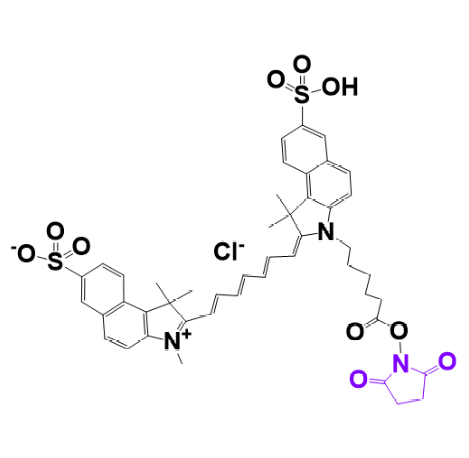 CY7-SE Cy7-N-羟基琥珀酰胺酯