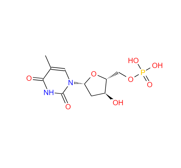 胸腺嘧啶脱氧核苷酸