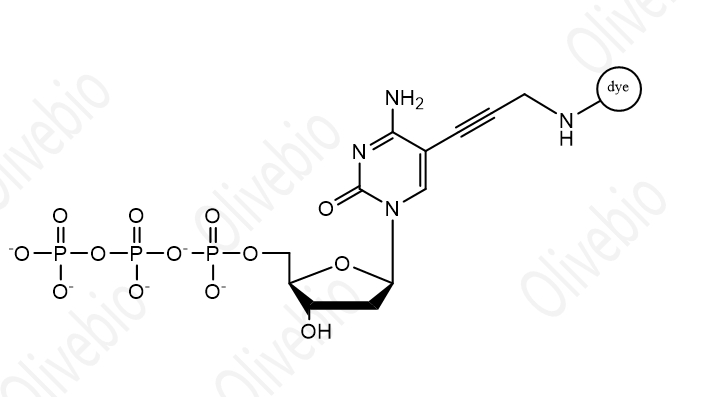 染料标记的2'-脱氧胞苷-5'-三磷酸(dCTP)