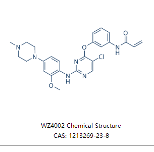 WZ4002 (EGFR抑制剂）