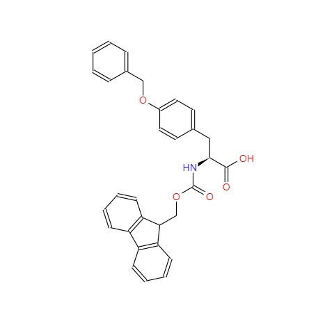Fmoc-O-苄基-L-酪氨酸