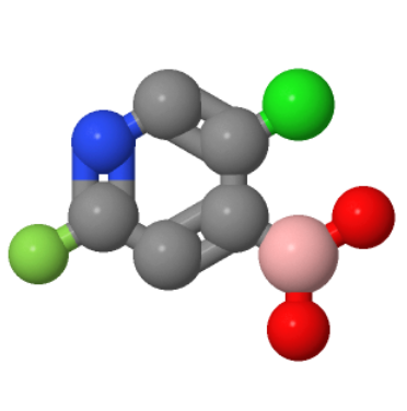 2-氟-5-氯吡啶-4-硼酸；1034659-38-5