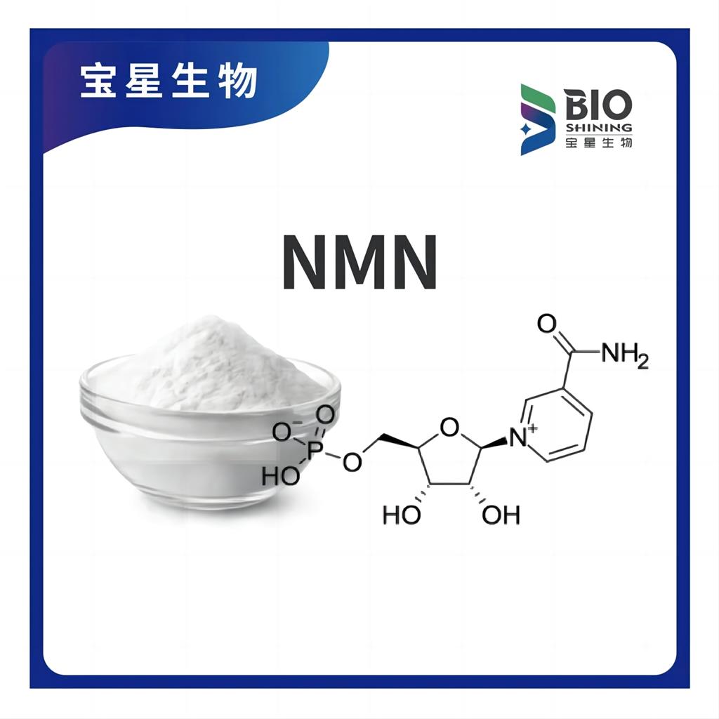 β-烟酰胺单核苷酸 NMN 99%白色精细粉末1094-61-7宝星生物