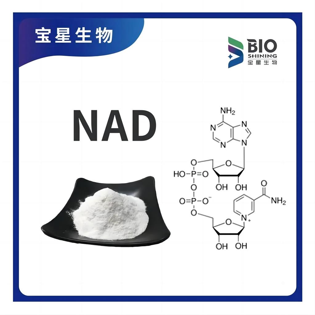 β-烟酰胺腺嘌呤二核苷酸 99% 白色精细粉末 NAD+ 辅酶I 53-84-9