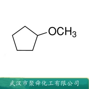 环戊基甲醚 5614-37-9 反应溶剂 用于萃取 结晶 表面处理和聚合过程 