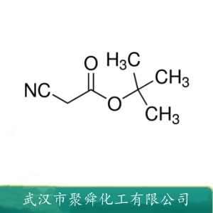 氰乙酸叔丁酯 1116-98-9 合成中间体 通用试剂