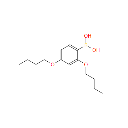 2,4-二丁氧基苯基硼酸