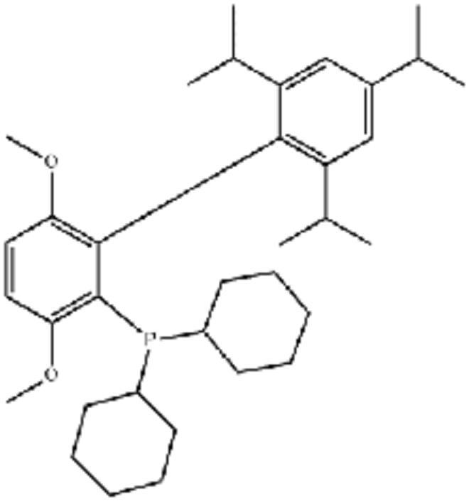 2-(二环己基膦基)-3,6-二甲氧基-2,4,6-三异丙基联苯  (R3783)  1070663-78-3