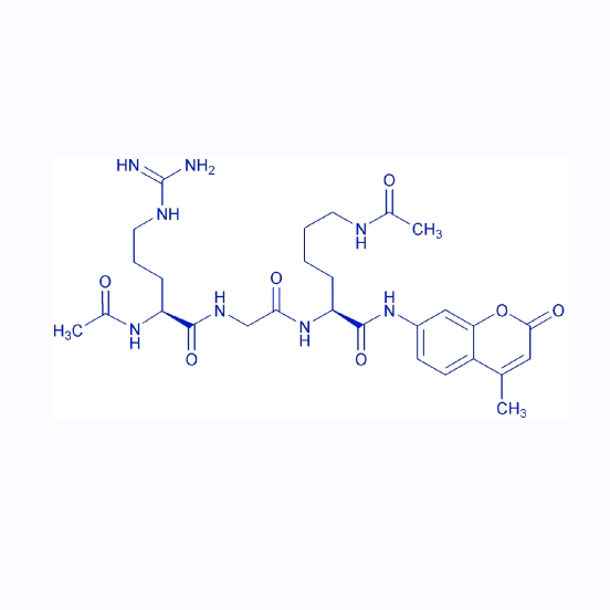 HDAC底物Ac-RGK(Ac)-AMC/660846-97-9/Ac-Arg-Gly-Lys(Ac)-AMC