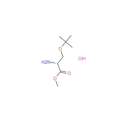 O-叔丁基-D-丝氨酸甲酯盐酸盐 78537-14-1