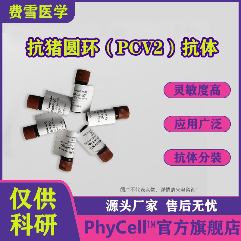 抗猪圆环（PCV2）单克隆抗体.jpg