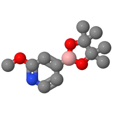 2-甲氧基吡啶-4-戊酰硼酸;408502-23-8