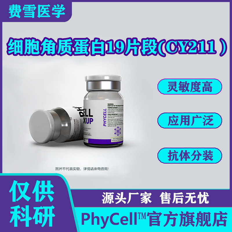 细胞角质蛋白19片段(CY211）