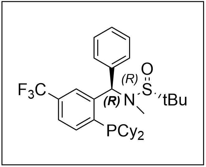 [S(R)]-N-[(R)-(5-三氟甲基)[2-(二环己基膦)苯基]甲基]-N-甲基-2-叔丁基亚磺酰胺