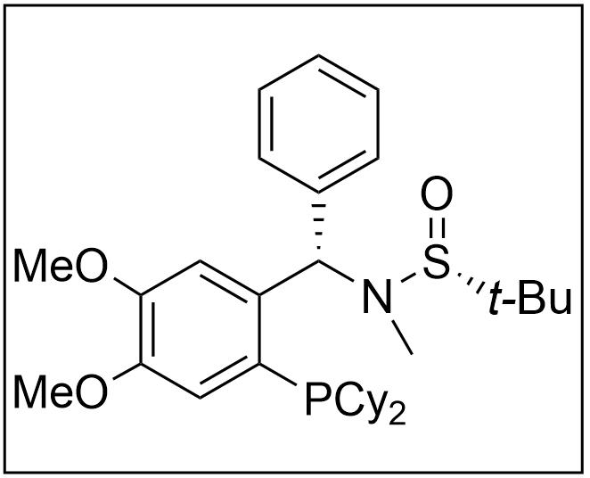 [S(R)]-N-[(S)-[2-(二环己基膦)-4,5-二甲氧基苯基](4-苯基)甲基]-N,2-叔丁基亚磺酰胺