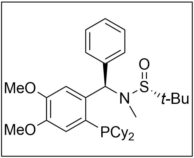 [S(R)]-N-[(R)-[2-(二环己基膦)-4,5-二甲氧基苯基](4-苯基)甲基]-N-甲基-2-叔丁基亚磺酰胺