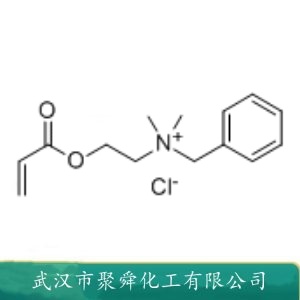 甲基丙烯酰氧乙基二甲基苄基氯化铵 DML 46917-07-1 合成絮凝剂 造纸助剂