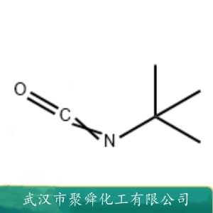 叔丁基异氰酸酯 1609-86-5 有机合成中间体