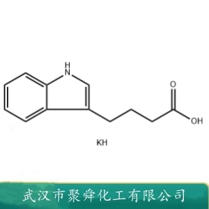 3-吲哚丁酸钾 60096-23-3 调节剂 有机原料