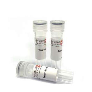 Research Grade Zatuximab  (DHB86910)