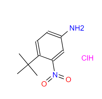 6310-20-9；4-叔丁基-3-硝基苯胺盐酸盐