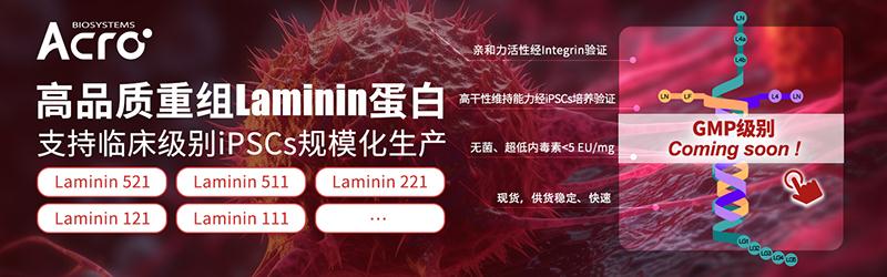 laminin.jpg