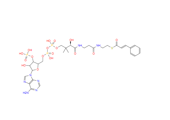 肉桂酰辅酶A