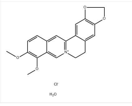 盐酸小檗碱