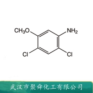 2,4-二氯-5-甲氧基苯胺 98446-49-2 中间体  有机原料