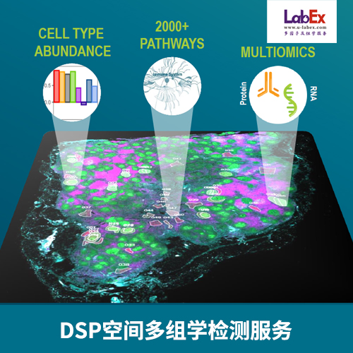 DSP空间多组学（空间转录组、空间蛋白组）检测服务