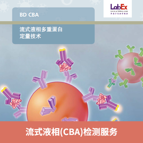 流式液相(CBA)多重蛋白检测服务