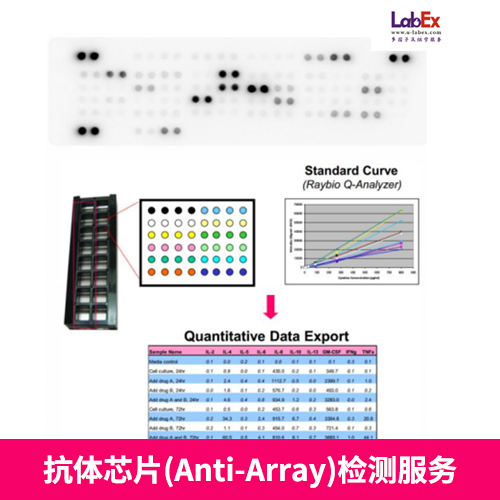 抗体芯片(Anti-Array)，蛋白芯片服务