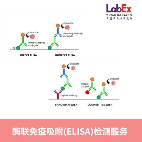 酶联免疫吸附(ELISA)检测服务