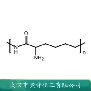 ε-聚赖氨酸 28211-04-3 防腐剂 