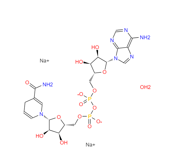 还原型 β-烟酰胺腺嘌呤二核苷酸 606-68-8