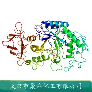 α-淀粉酶 9000-90-2 水解酶 酶制剂